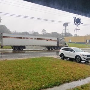 Meet your Posher, Rosemary  g.